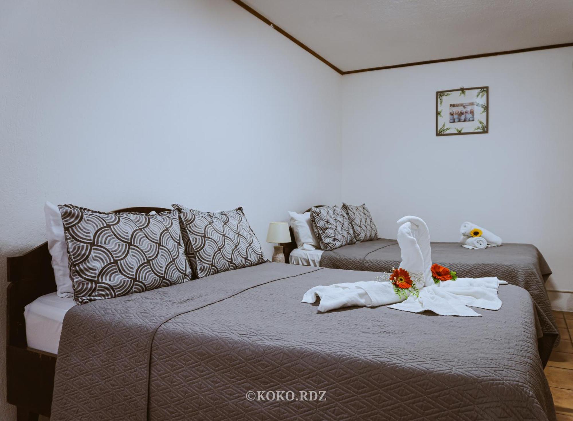 Couette-café Santa Fe Monteverde